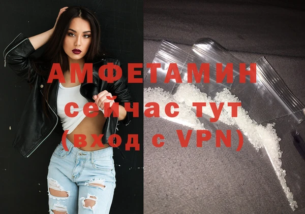 индика Беломорск