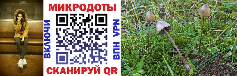 купить наркотики цена  Лабытнанги  Галлюциногенные грибы Magic Shrooms 